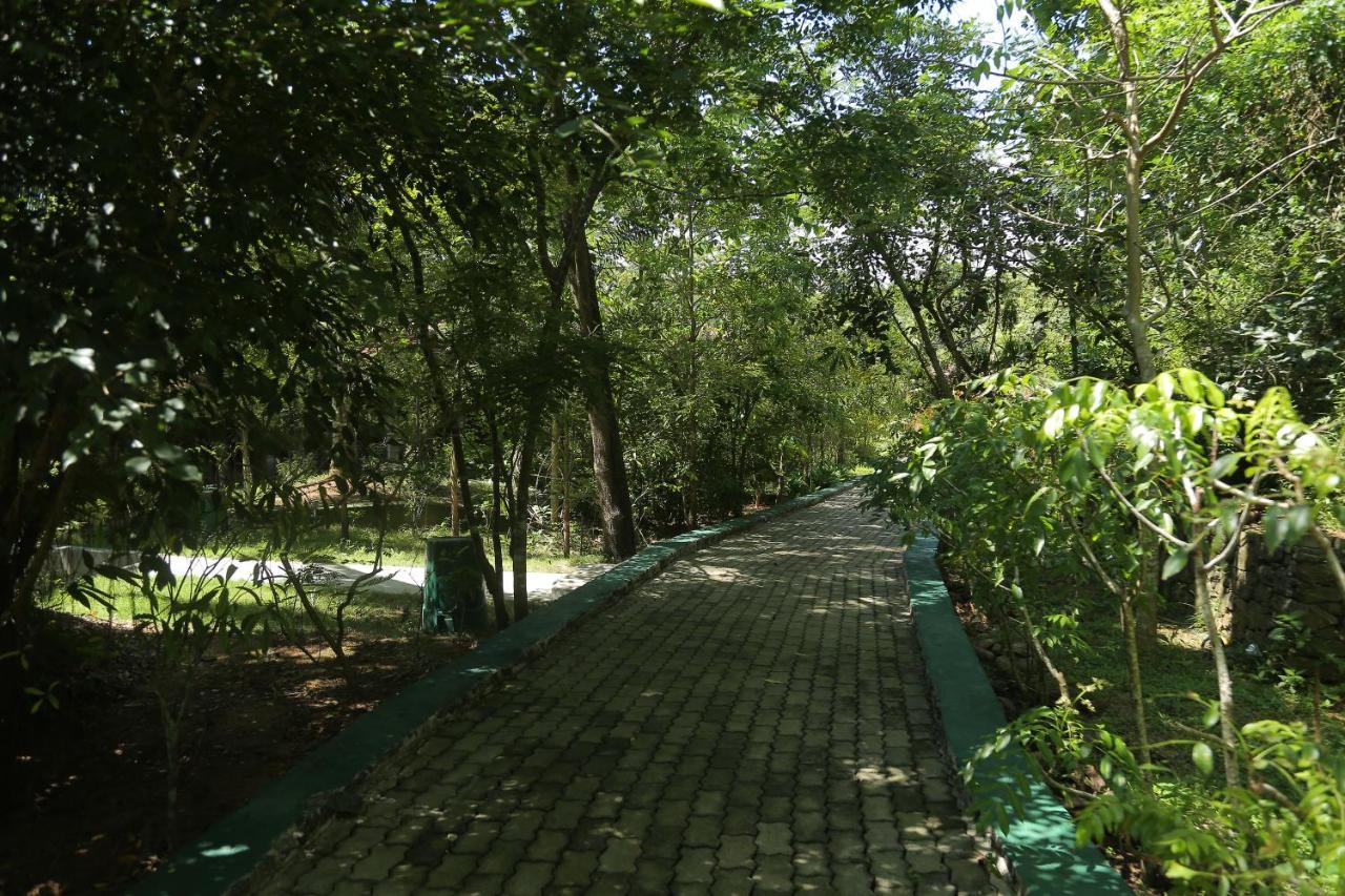 Laluna Ayurveda Resort เบนโตตา ภายนอก รูปภาพ