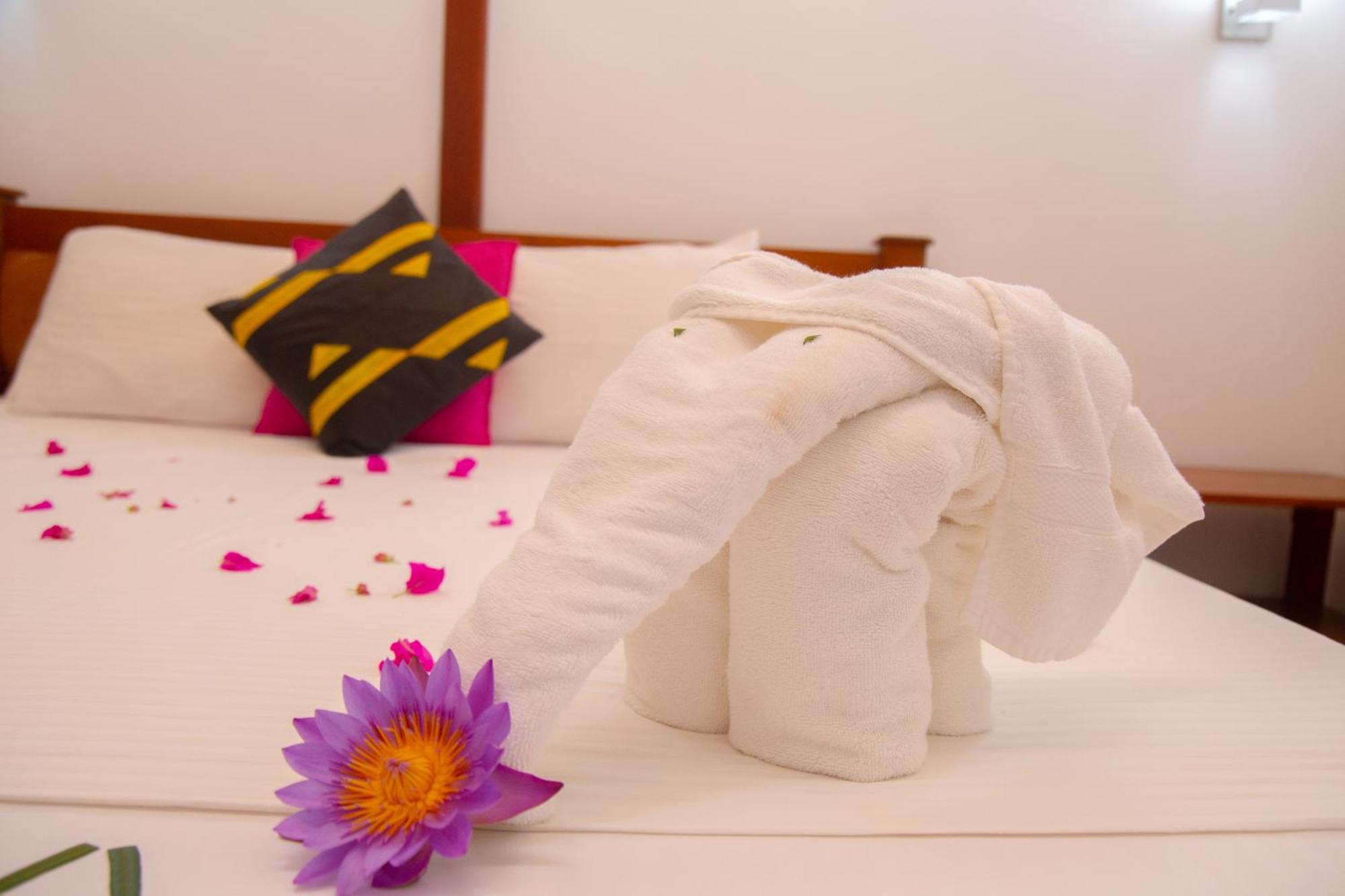 Laluna Ayurveda Resort เบนโตตา ภายนอก รูปภาพ